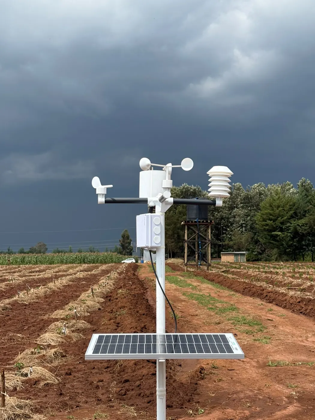 A weather station over mulched ridges as storm clouds gather