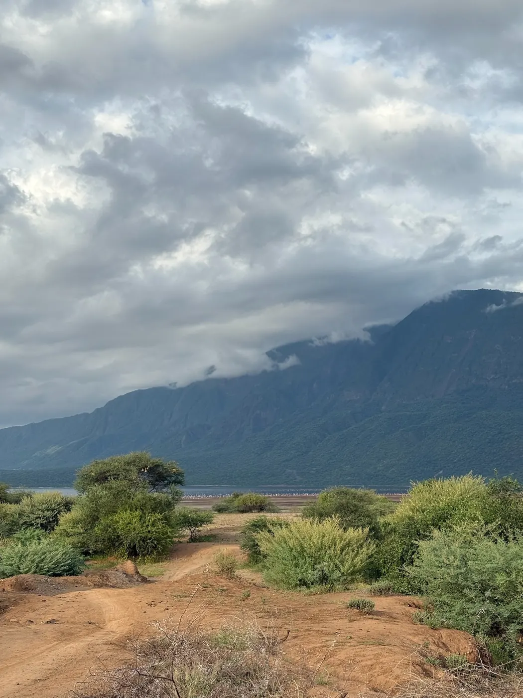 Red earth track winding through green thorn bush toward a pale lake shore, with a tall cloud-covered escarpment behind.