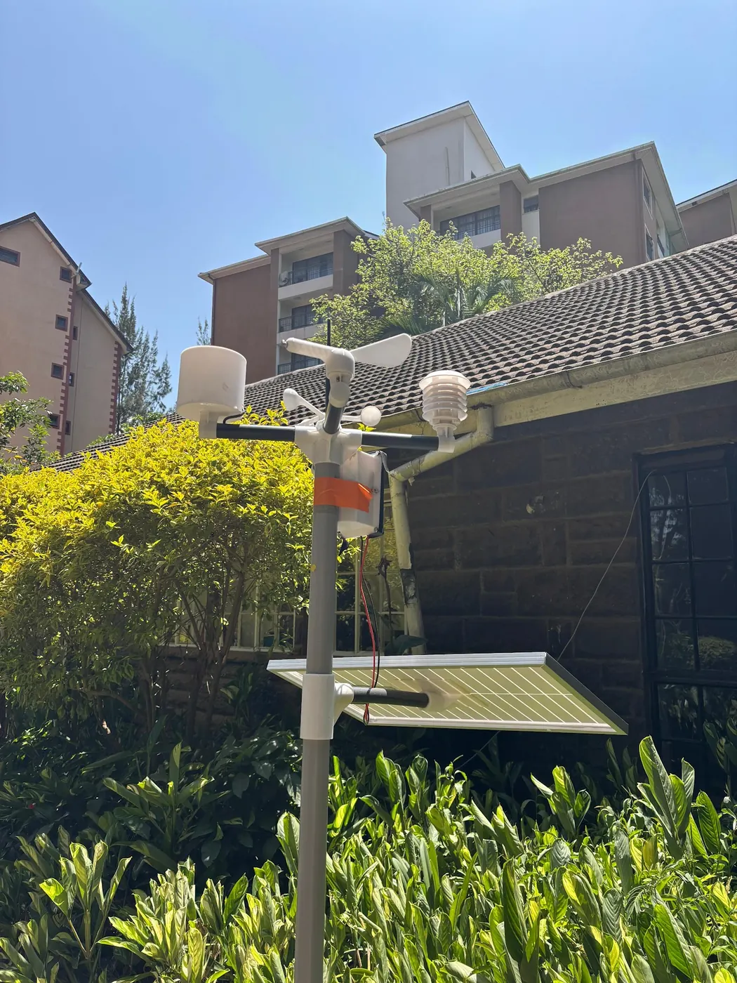 A weather station on a mast above a garden hedge