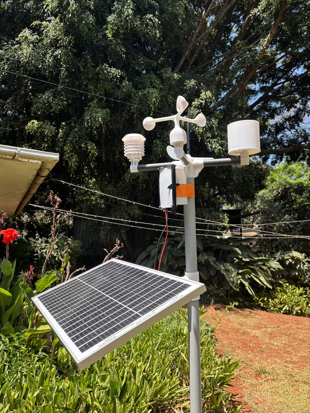 A solar-powered weather station beside a garden of tall trees